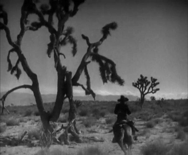 in_old_arizona_outdoors1