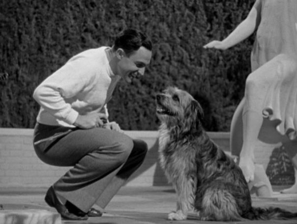 living_in_a_big_way_gene_kelly_dog