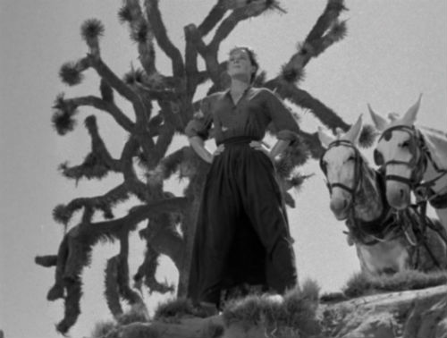 westward_the_women_strong_women3