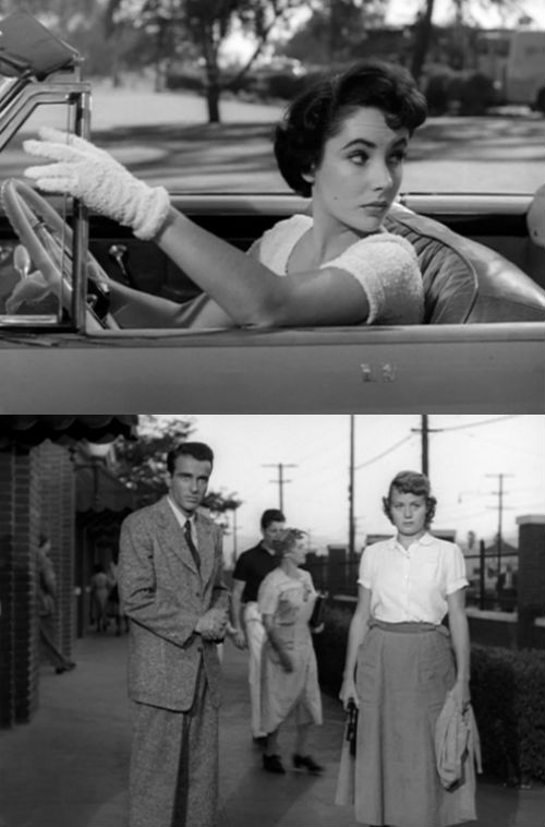 a_place_in_the_sun_liz_shelley_monty