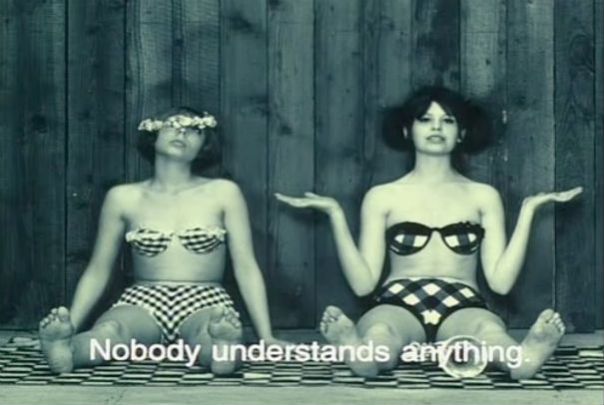 sedmikrásky_daisies