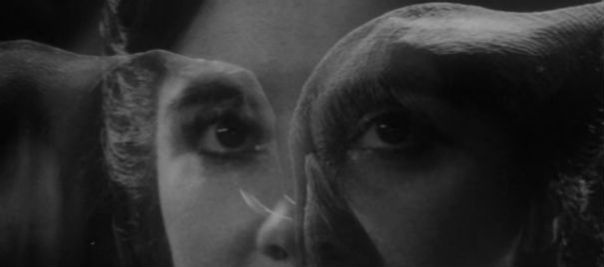 the_elephant_man_mother_elephant