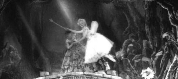 the_elephant_man_theatre