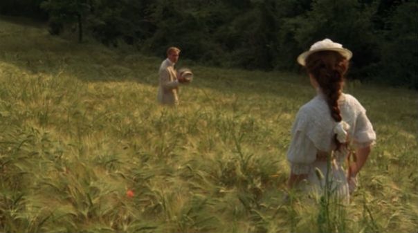 a_room_with_a_view_field