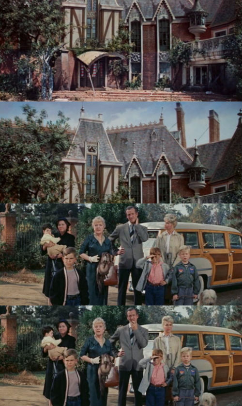 please_don't_eat_the_daisies