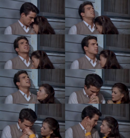 splendor_in_the_grass