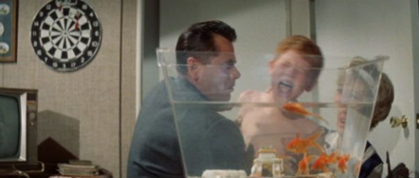 the_courtship_of_eddies_father_fish