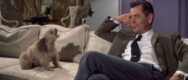 the_courtship_of_eddies_father_glenn_ford_dog