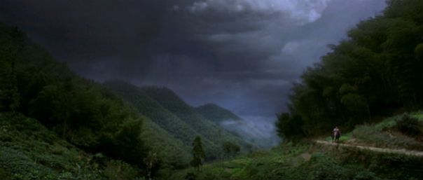 crouching_tiger_hidden_dragon_cine4