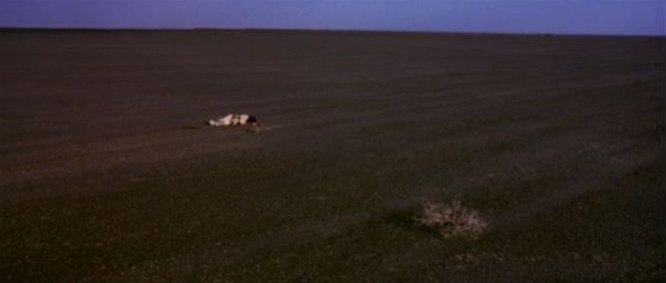 crouching_tiger_hidden_dragon_western3