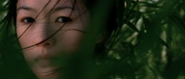 crouching_tiger_hidden_dragon_zhang_ziyi5