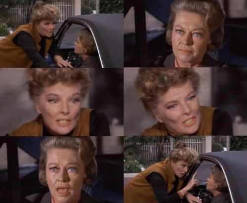 guess_who's_coming_to_dinner