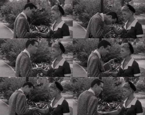 it_should_happen_to_you