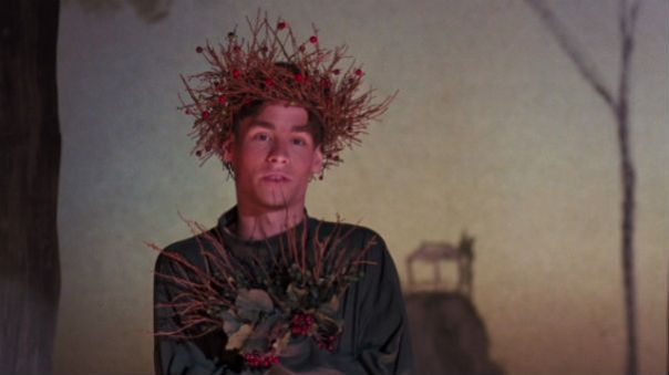 dead_poets_society_robert_sean_leonard_play