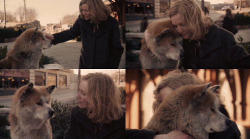 hachi_a_dog's_tale