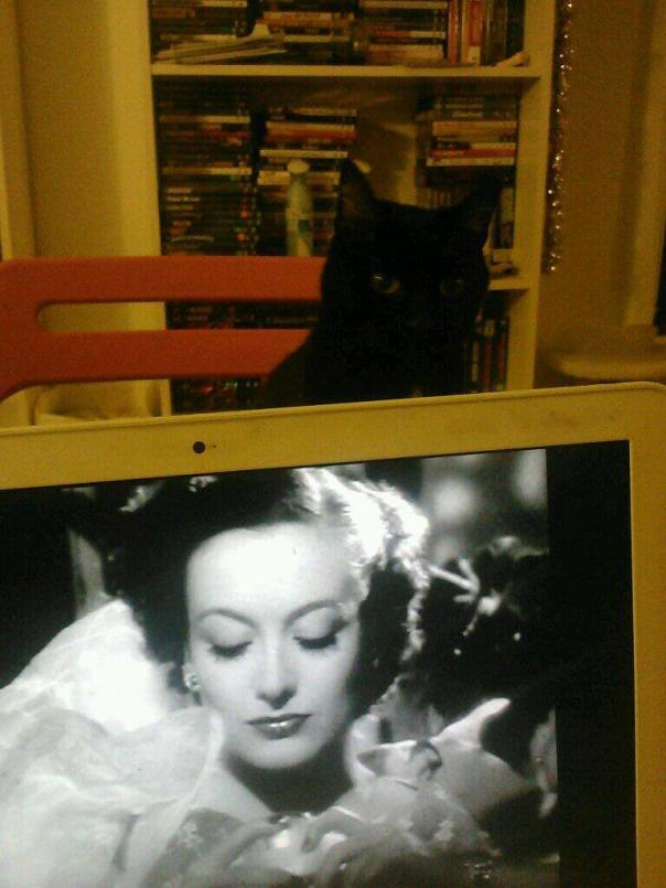 1655370_715714185116576_1899231099_o