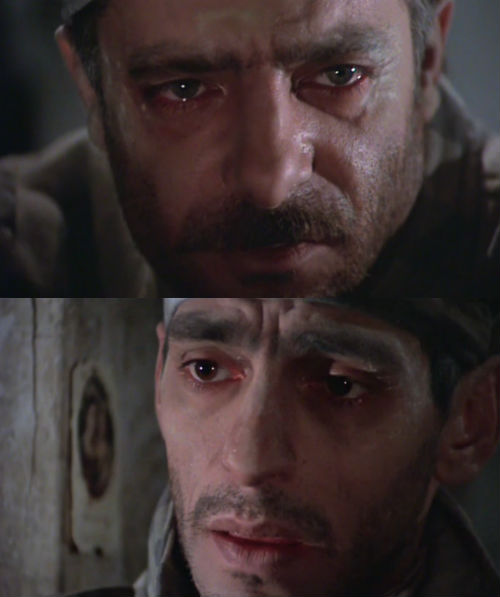 pasqualino_settebellezze